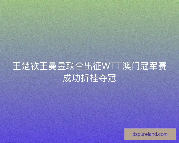 王楚钦王曼昱联合出征WTT澳门冠军赛成功折桂夺冠 王楚钦王曼昱联合出征WTT澳门冠军赛成功折桂夺冠