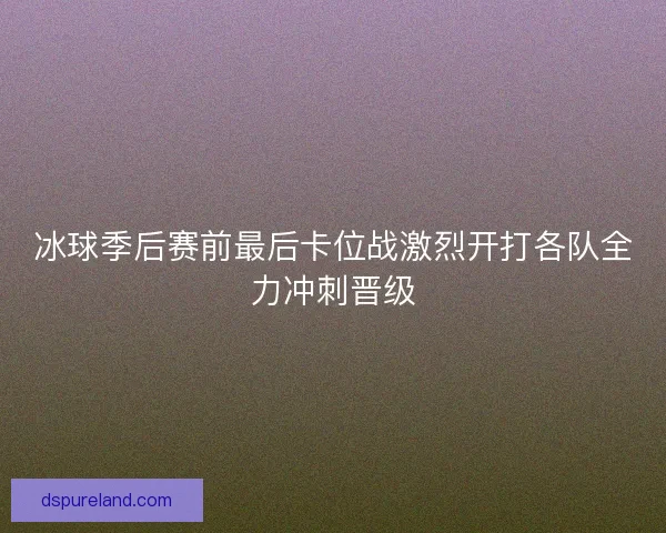 冰球季后赛前最后卡位战激烈开打各队全力冲刺晋级